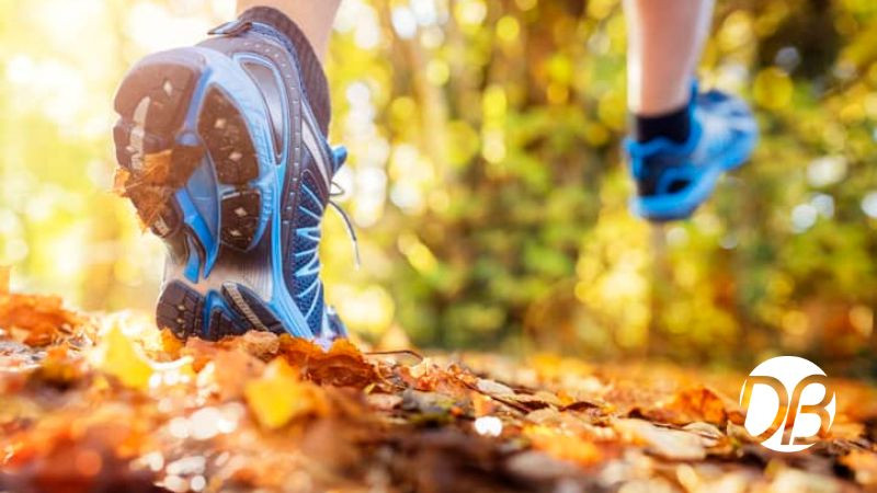 Is Autumn The Best Time To Begin A Weight Loss Program?